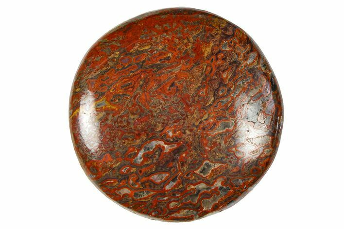 Polished Dinosaur Bone (Gembone) Cabochon - Colorado #370753